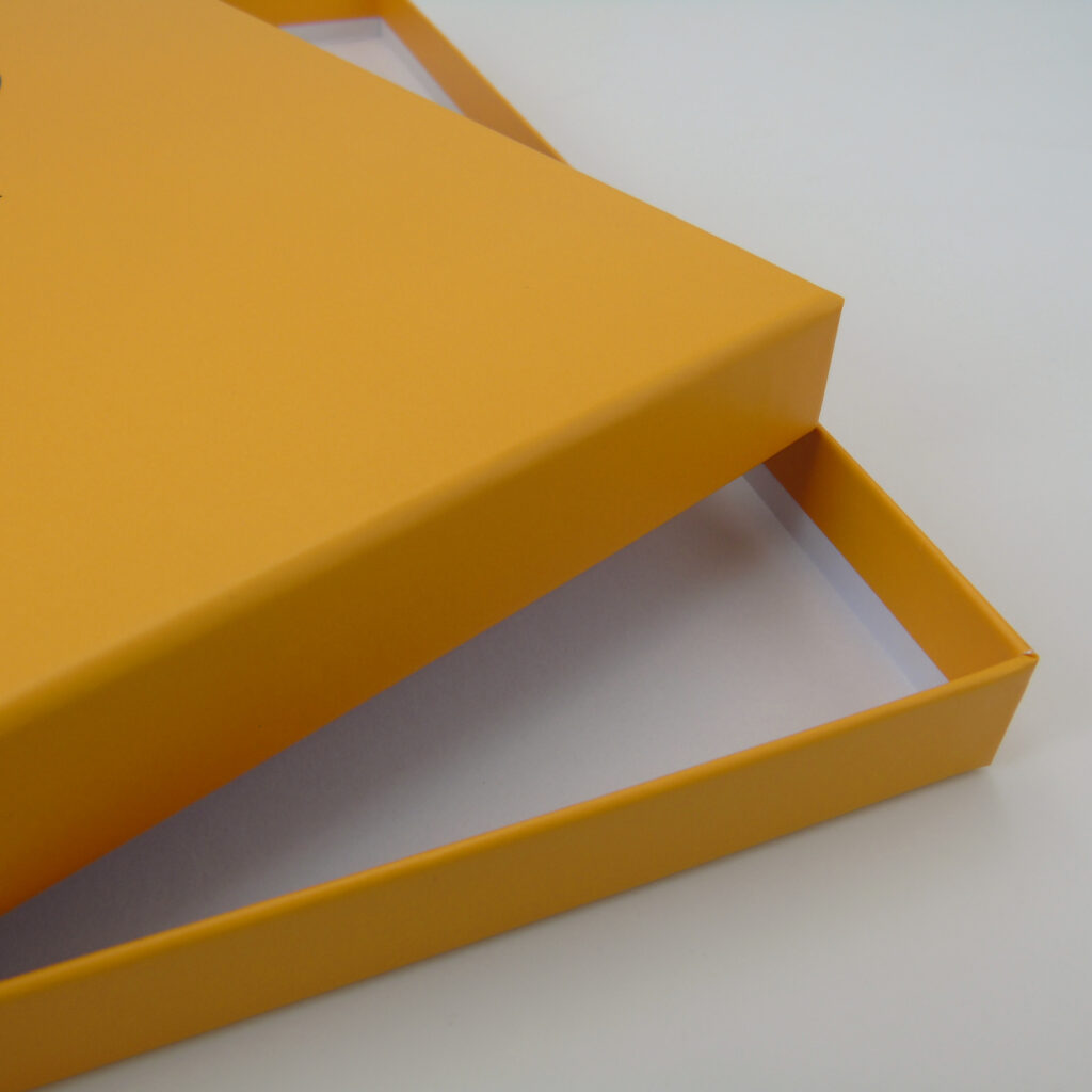 Schallplatten-Karton